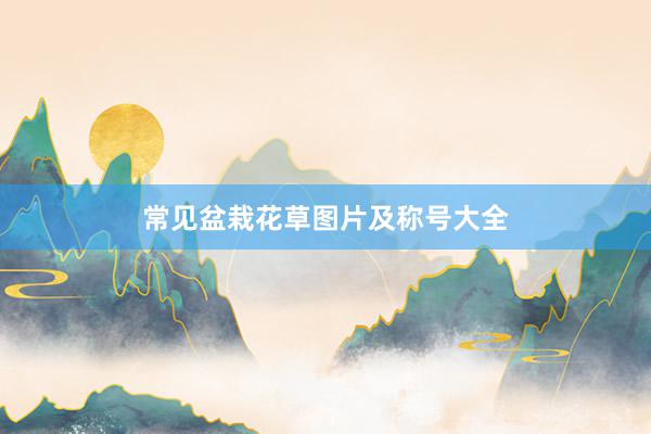 常见盆栽花草图片及称号大全