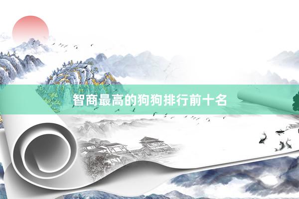 智商最高的狗狗排行前十名