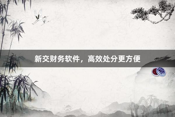 新交财务软件，高效处分更方便